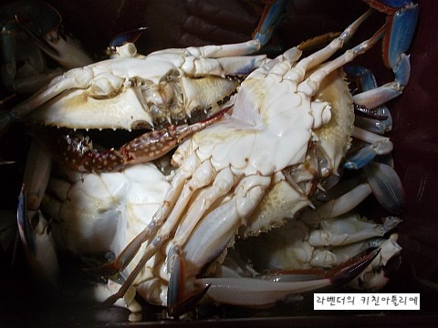 밥도둑 이미지