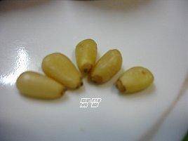 120D130842D1070A1CD2FA
