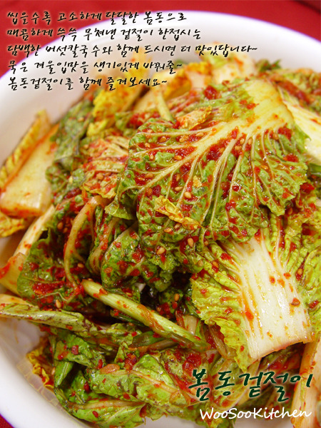 봄동 이미지