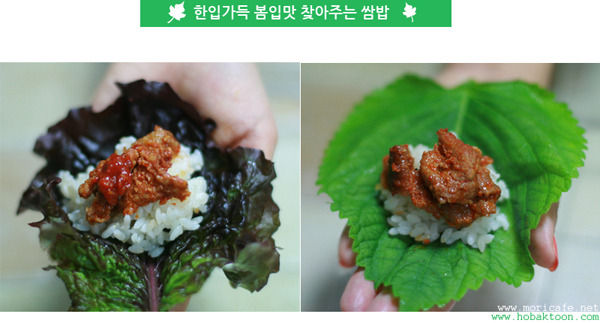 잃어버린 입맛을 되찾고싶다면 쌈밥을 준비하세요