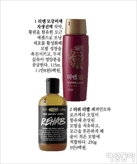 두피와 모발 건강하게 관리하는 솔루션, 헤어 트레이닝 20