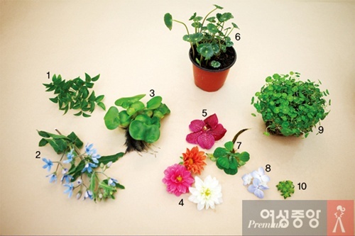 포토그래퍼김유리 이미지